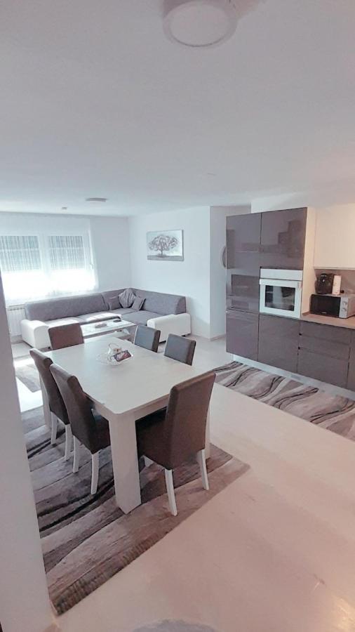 Apartman Lela カルロヴァッツ エクステリア 写真