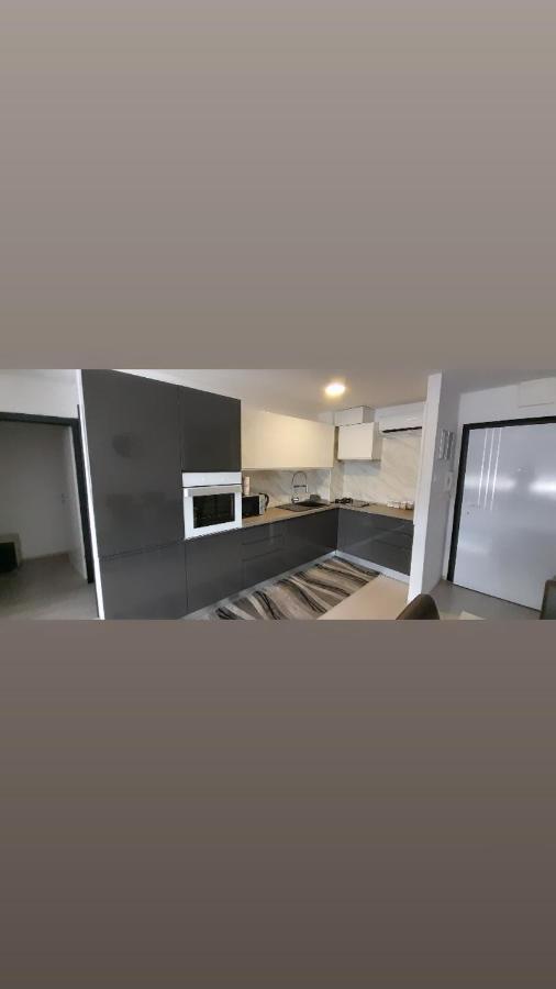 Apartman Lela カルロヴァッツ エクステリア 写真