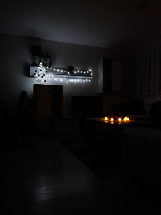 Apartman Lela カルロヴァッツ エクステリア 写真