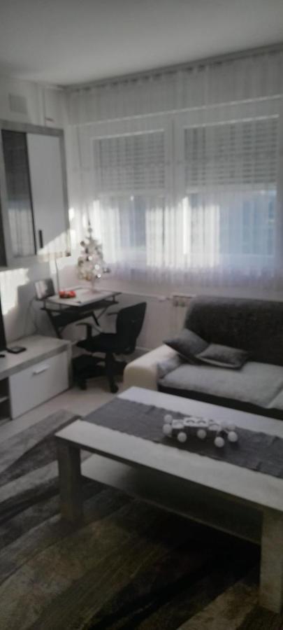 Apartman Lela カルロヴァッツ エクステリア 写真